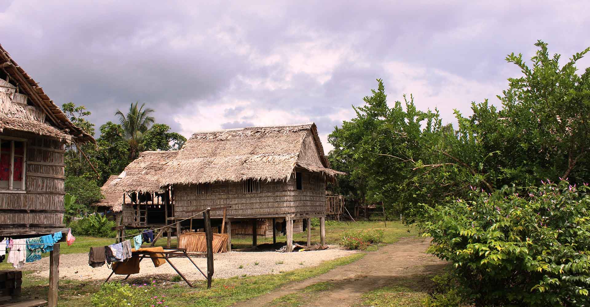 Thatched hut in a remote village in the Solomon Islands